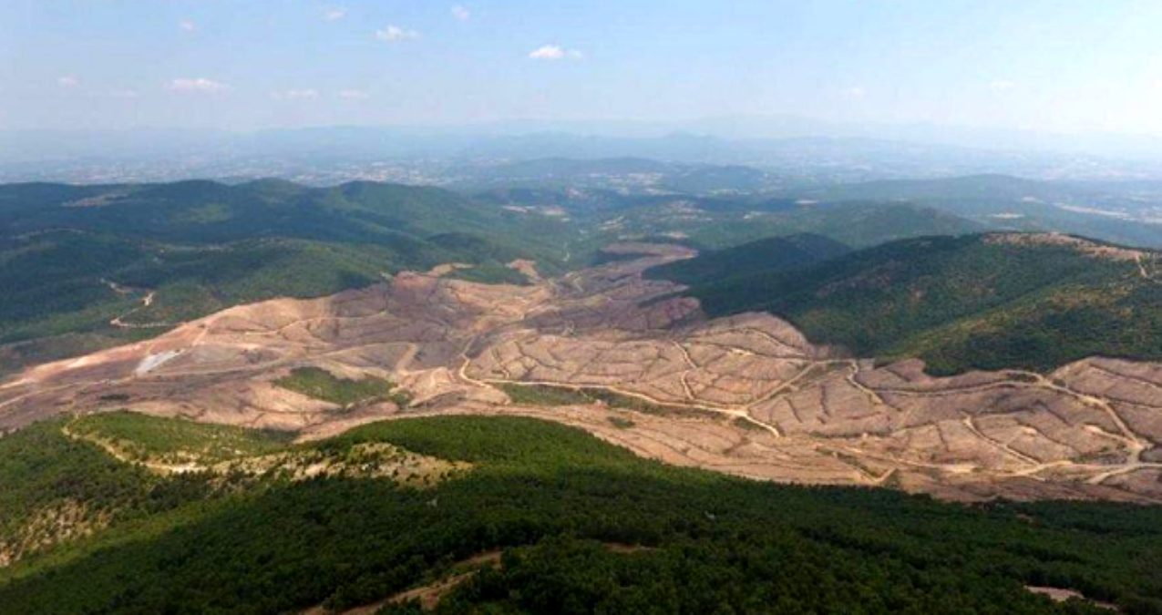  /></noscript></p>
<p> </p>
<p>Türkiye’de 2018 yılında orman alanı kaybı 35 bin 700 hektarla 2001 yılından bu yana en yüksek seviyesine ulaştı.</p>
<p>Küresel Orman İzleme Örgütü’nün hazırladığı <a href=