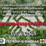 2026 Uluslararası Kooperatifler Günü: Emek, Dayanışma, Demokrasi!